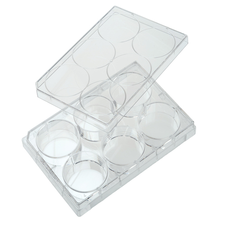 CELLTREAT Tissue Culture Plate, Sterile, 6-Well 229105